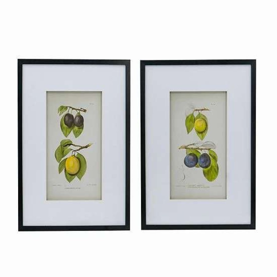 Home Decor * | A&B Home Smithsonian Assorted Fruit Framed Wall Art 2-Piece Set