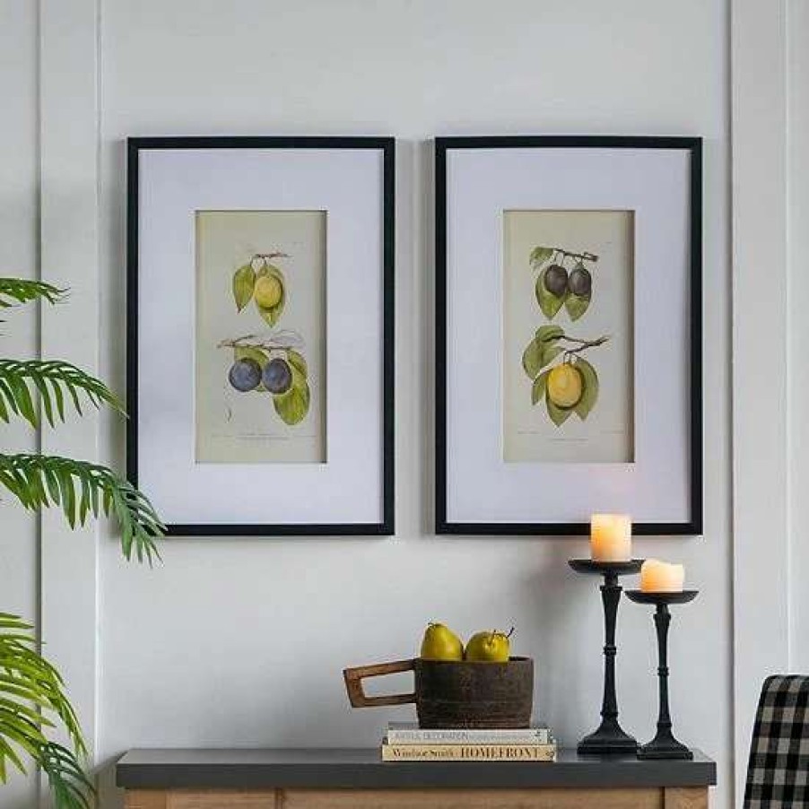 Home Decor * | A&B Home Smithsonian Assorted Fruit Framed Wall Art 2-Piece Set