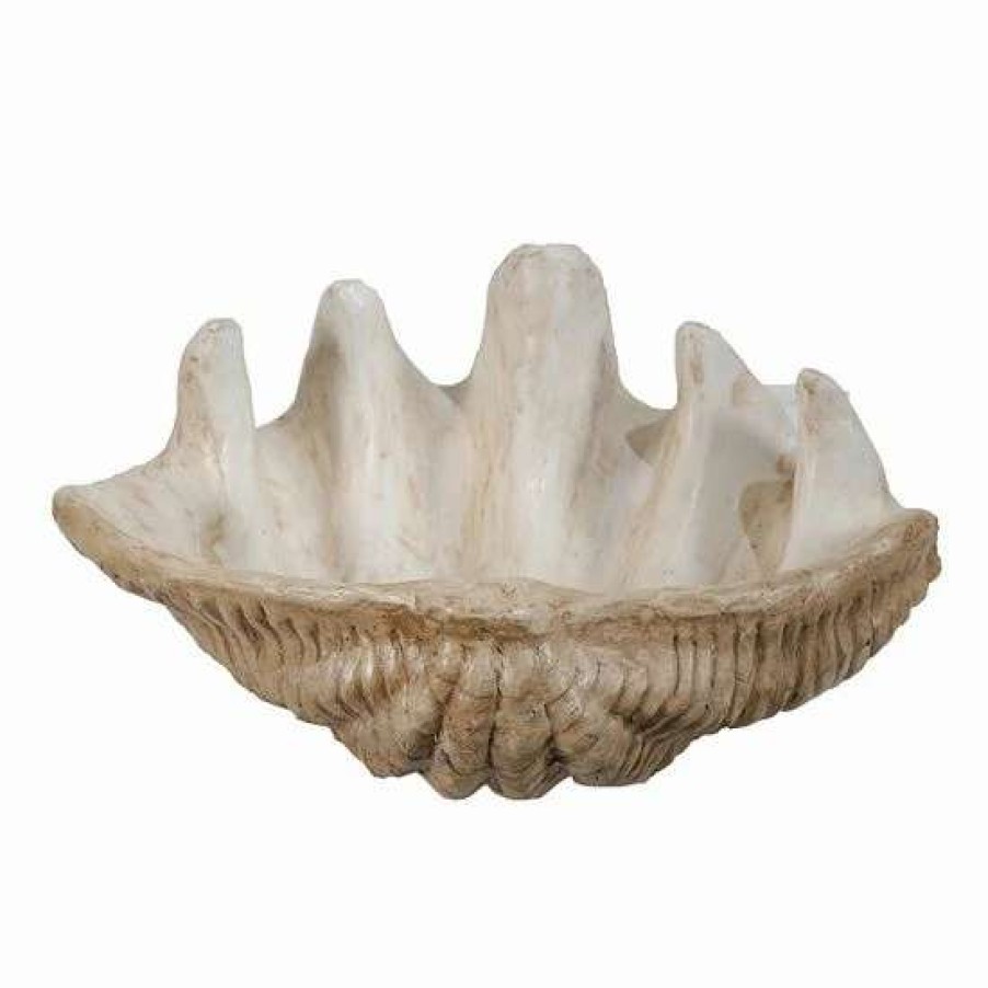 Home Decor * | A&B Home Clam Shell Decor