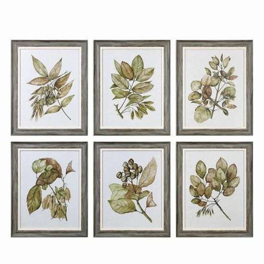 Home Decor * | Uttermost Seedlings Leaves Framed Wall Art 6-Piece Set