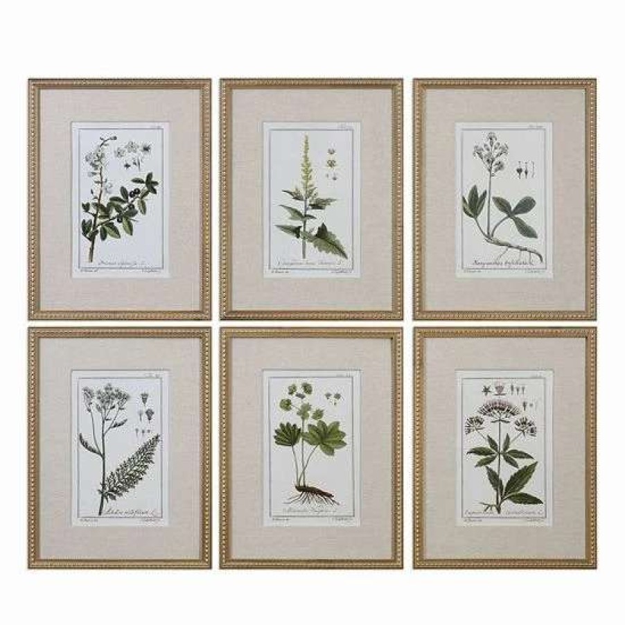 Home Decor * | Uttermost Green Floral Botanical Study Framed Wall Art 6-Piece Set