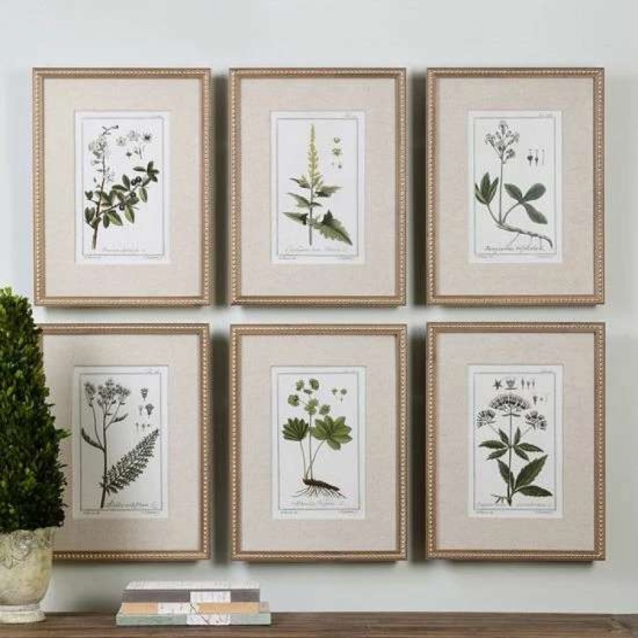 Home Decor * | Uttermost Green Floral Botanical Study Framed Wall Art 6-Piece Set